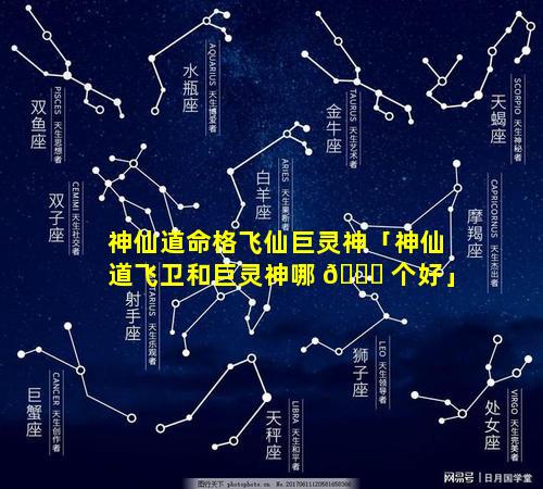 神仙道命格飞仙巨灵神「神仙道飞卫和巨灵神哪 💐 个好」